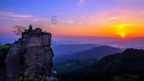 薇薇安绣球是新老枝开花吗？游戏画面