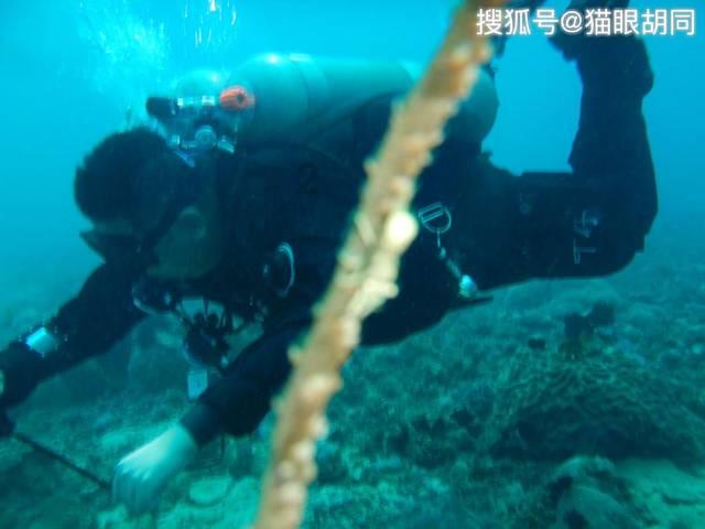混凝土输送泵使用之前还需要调试吗